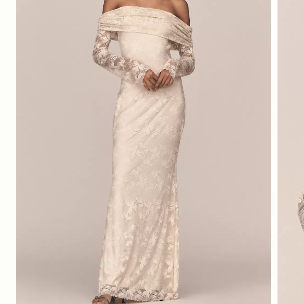 AFRM Anthropoligie Mesh Long Sleeve Off the Shoulder Lace Dress